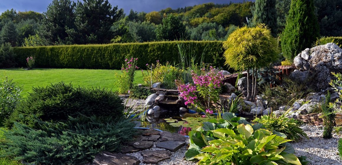 Garden with a pond. Ideas and arrangements