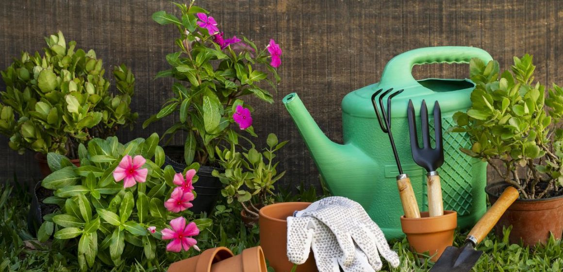 Spring cleaning in the garden. What should be kept in mind?