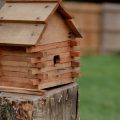 Bird houses in the garden. Construction and location  